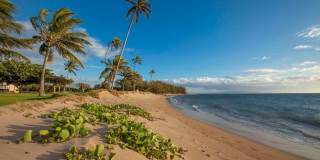 Maui Sunset Condo!! LOCATION, LOCATION, LOCATION!! Gallery 32