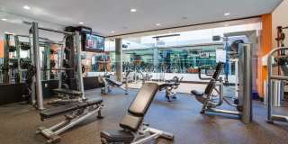 Malibu Canyon Apartments Gallery 17