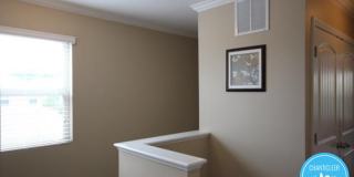 9816 Precious Stone Dr Gallery 8