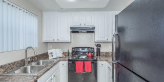 Oak Tree Court Gallery 27