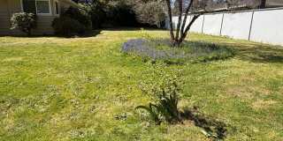 3 bedrooms, 2 Baths Ranch Home with Large, Fenced Yard in the River Crest Neighborhood! Gallery 23