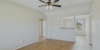 23 Green Apple Gallery 5