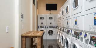 Caldera at Sunnybrook Gallery 15