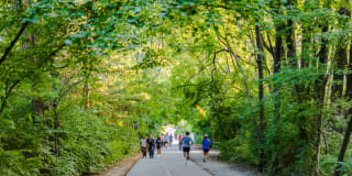 Edgemont at Bethesda Metro Gallery 36