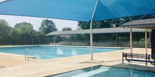 7051 Shadow Run Gallery 64