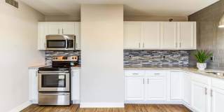 Zen Chaska Zen Chaska Gallery 35