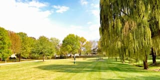 Belmont Park Gallery 11