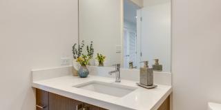 The Merian Gallery 58