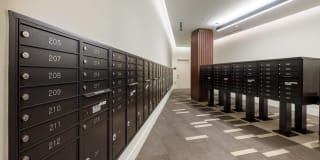 The Wren D.C. Gallery 70