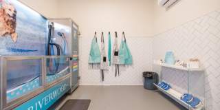 Riverwood Apartments and Townhomes Gallery 58