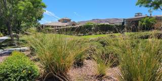 11370 Merado Peak Drive Gallery 50