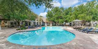 Saddle Creek and The Cove Saddle Creek and The Cove Gallery 29