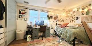 12 Fern Gallery 10