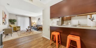 Whisper Hollow Gallery 7