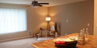 Windsor Park Gallery 12