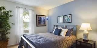 Raintree Apartments Gallery 23