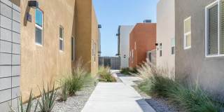 Brioso at the Bridges Gallery 42