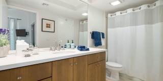 73561 Dalea Lane Gallery 22