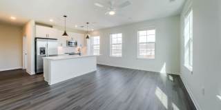 Alexan Harrison Apartments Gallery 11