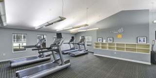 Signal Pointe Gallery 8