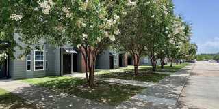 The Mandell Gallery 3