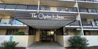 The Ogden Nines Gallery 2