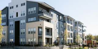 Livano Nations Gallery 42