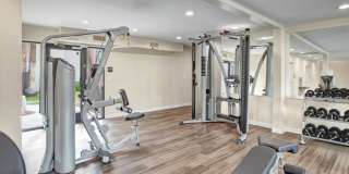 Colter Park Gallery 19