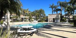 1299 Dogwood Gallery 41