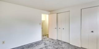 Bright Meadows Gallery 1