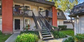 3241 Shadow Park PL Gallery 1