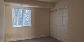 Northgate Gallery 246
