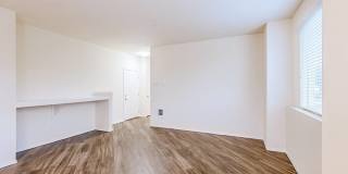 Washington Court Gallery 47