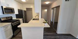 Hillside Terrace Gallery 110