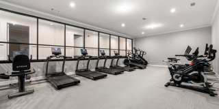 ARIUM Lenox Park Gallery 25