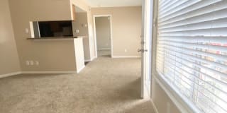 Timbers@121 Gallery 24