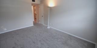 Beautiful Austin condo in amazing location! Gallery 13