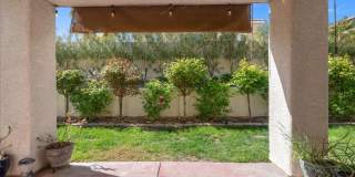 Completely Renovated Modern 4 Bd Single Story in the Trails Gallery 30