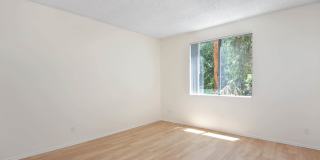 Versailles Gallery 13