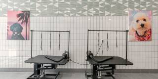 The Vivien Gallery 79