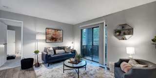 Emerald Place Gallery 5