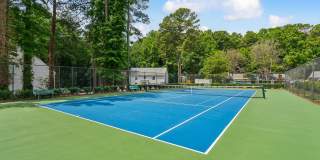 Lake Johnson Mews Gallery 22