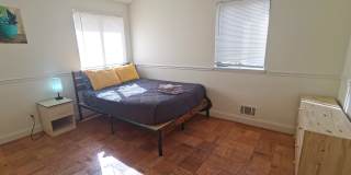 9485 Good Lion Road Gallery 12
