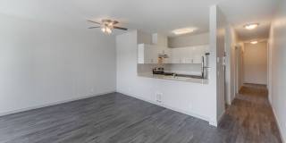 Union View Gallery 6