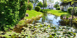 Carriage Crossing Gallery 6