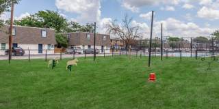 The Lynx Apartments and Townhomes Gallery 16
