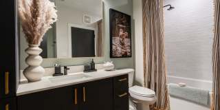 NOVEL Scotts Addition Gallery 60