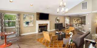 700 Riverchase Gallery 54