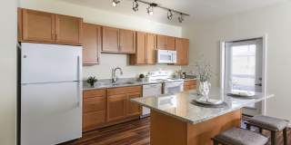 Juniper Square - 55+ Active Adult Apartment Homes Gallery 25