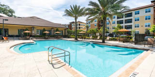 Addison at Tampa Oaks Gallery 1